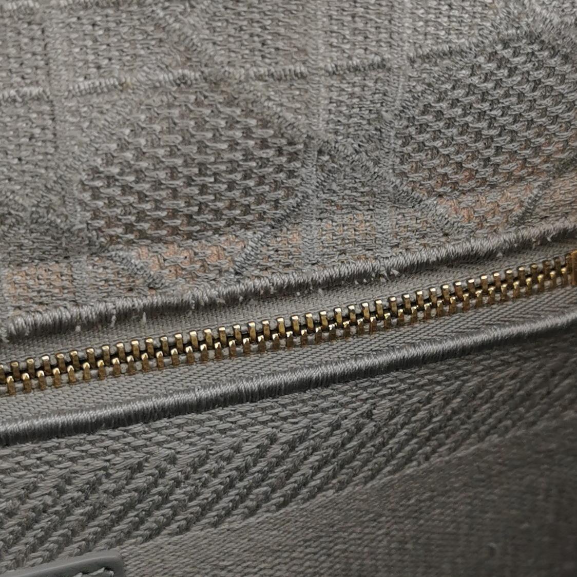 Lady Dior Medium Canvas Logo