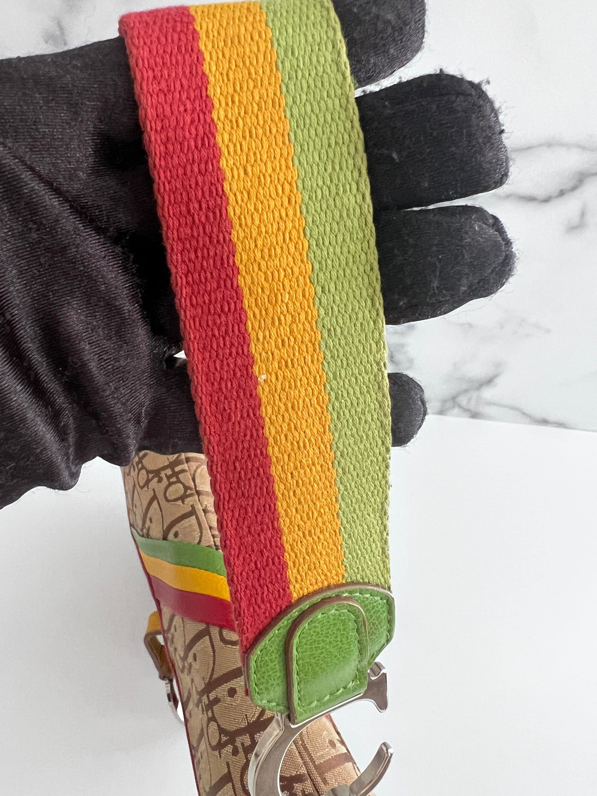 Dior Saddle Rasta shoulder bag