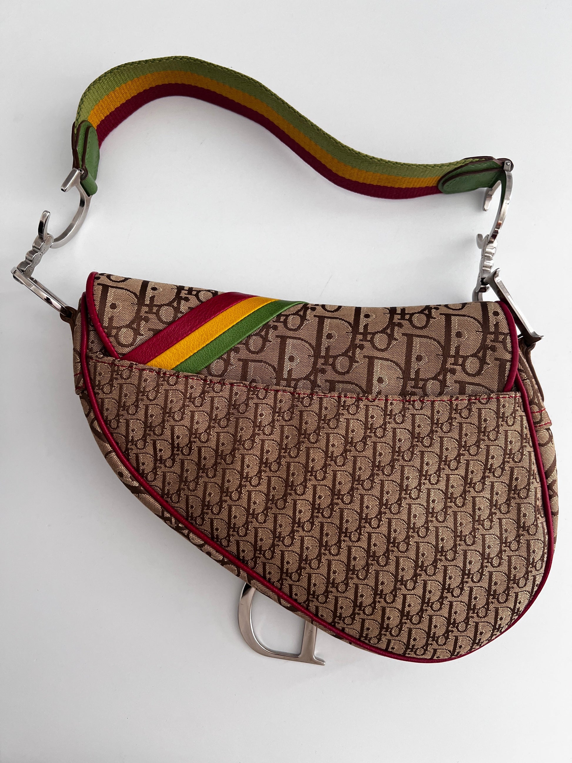 Dior Saddle Rasta shoulder bag
