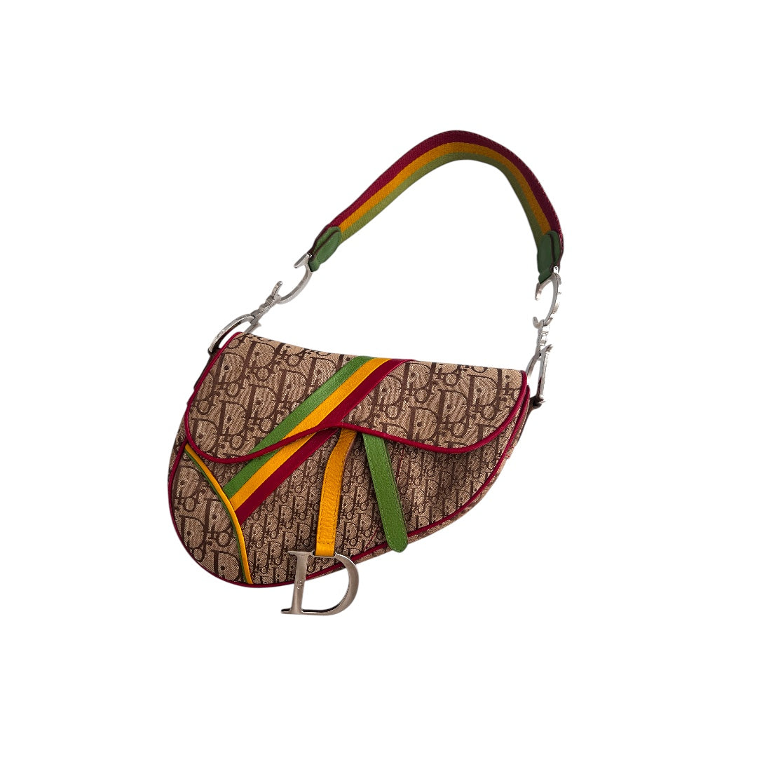 Dior Saddle Rasta shoulder bag