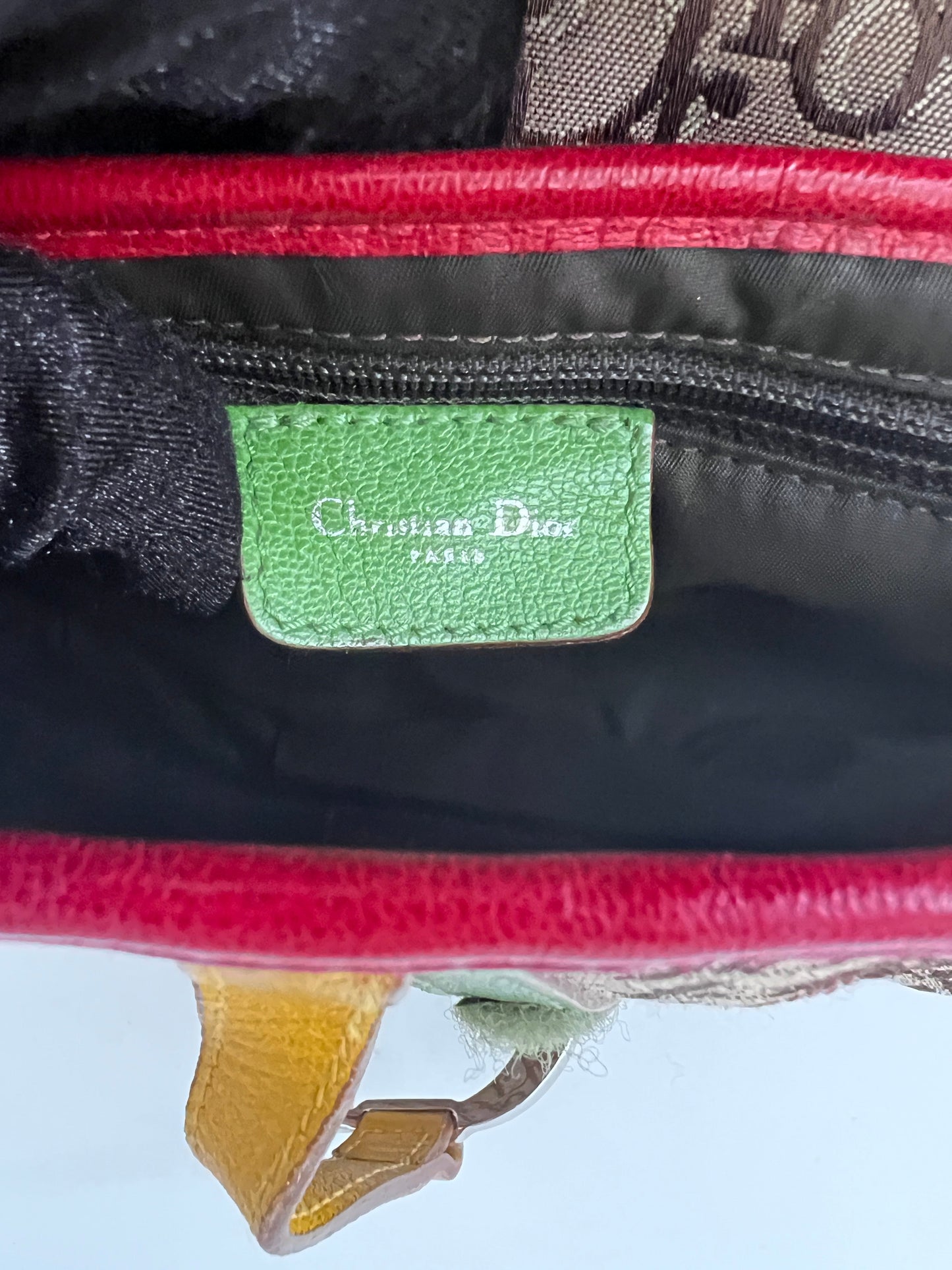 Dior Saddle Rasta shoulder bag