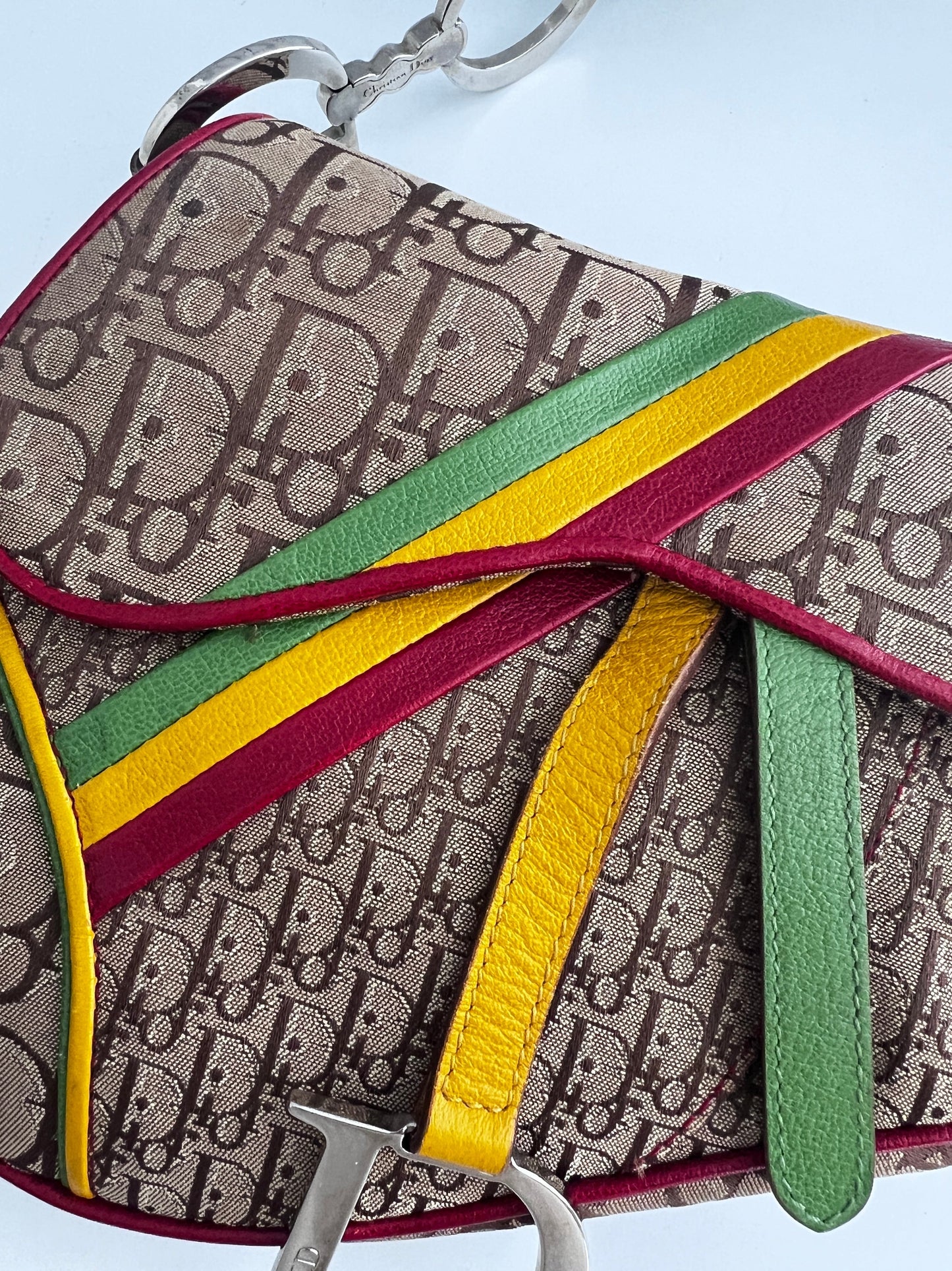 Dior Saddle Rasta shoulder bag
